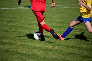 开云体育首页-LPL多个队伍重组计划曝光转会期极度混乱，lpl战队转会期